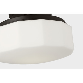 manufacturer_finish:Aged Iron/Unspecified|manufacturer_glass:Opal Etched Glass|blade_span:Unspecified|light_source:Unspecified|light_output:Unspecified|color_temperature:Unspecified|cri:Unspecified|voltage:120.00V|fan_control:Unspecified|crystal:Unspecified