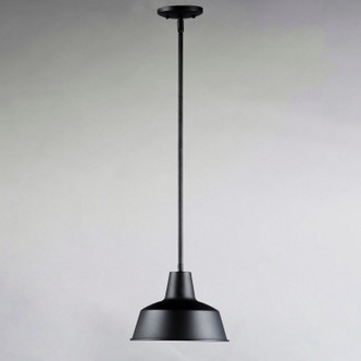 Pier M One Light Outdoor Pendant