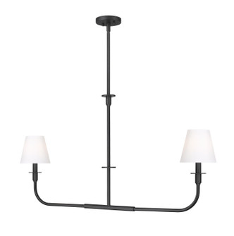 Z-Lite - 3049-42L-MB - Two Light Linear Chandelier - Tova - Matte Black