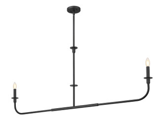 Tova Two Light Linear Chandelier (3049-60L-MB)