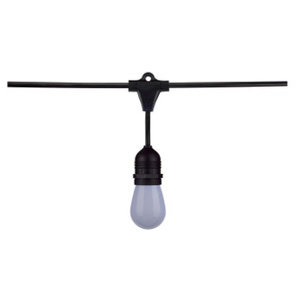 LED String Light (S11292)
