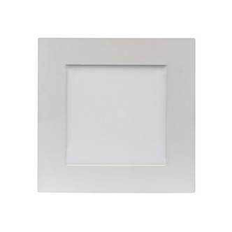 LED Downlight (S11616)
