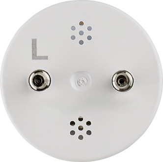 Light Bulb (S11747)
