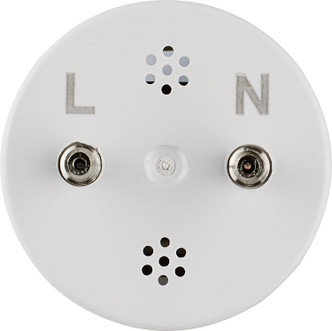 Light Bulb (S11747)