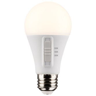 Light Bulb (S11772)