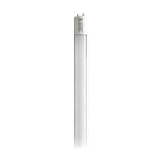 Light Bulb (S11985)