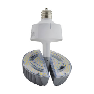 Light Bulb (S13127)
