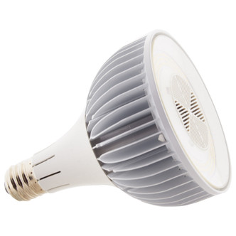 Light Bulb (S13152)