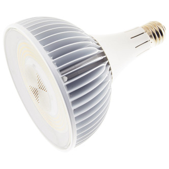 Light Bulb (S13154)