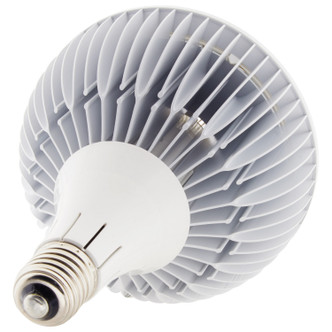 Light Bulb (S13154)