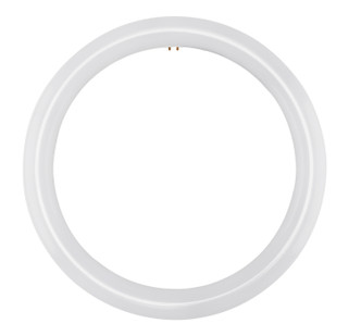 Light Bulb (S16503)