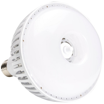 Light Bulb (S23112)