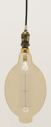 Light Bulb (S2432)