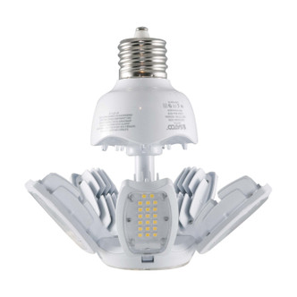 Light Bulb (S39798)