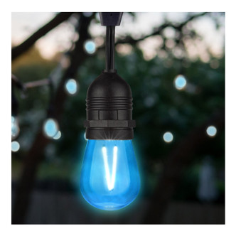 Light Bulb (S8023)