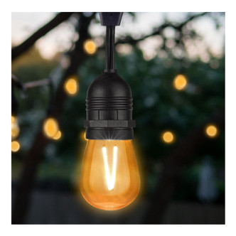 Light Bulb (S8026)