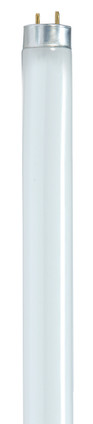 Satco - S8426 - Light Bulb - Gloss White
