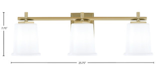 Franklin Three Light Bath Bar (1213-NAB-5031)