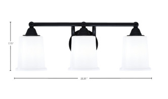 Paramount Three Light Bath Bar (3423-MB-5031)