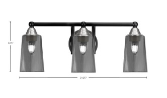 Paramount Three Light Bath Bar (3423-MBBN-262)