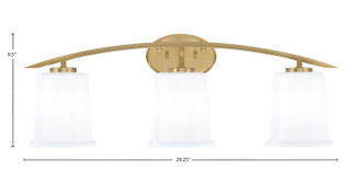 Kurve Three Light Bath Bar (3723-NAB-5031)