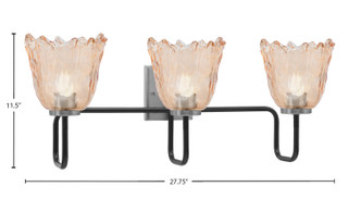 Sandia Three Light Bath Bar (6223-MBGP-4233)