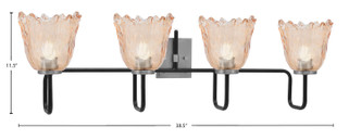 Sandia Four Light Bath Bar (6224-MBGP-4233)