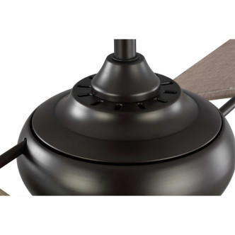 Edisto 54``Ceiling Fan (P2596-12930K)