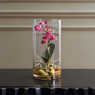 Mariposa Orchid (60279)