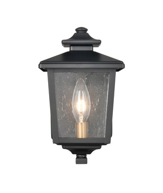 Eldrick One Light Outdoor Hanging Lantern (4611-PBK)