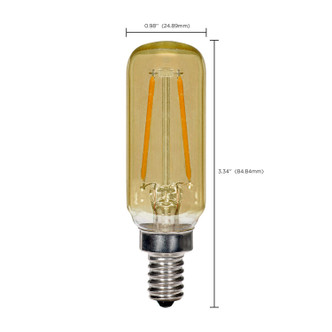 Light Bulb (S9873)