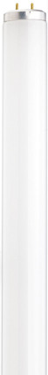 Satco - S6573 - Light Bulb - Frost