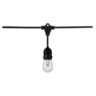 LED String Light (S8031)