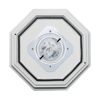 LED Outdoor Lantern (62-1420)