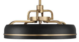 Taylor 20" Ceiling Fan (TYL24FBSB3)