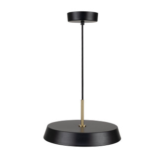 Lexi LED Pendant (AC6900BK)