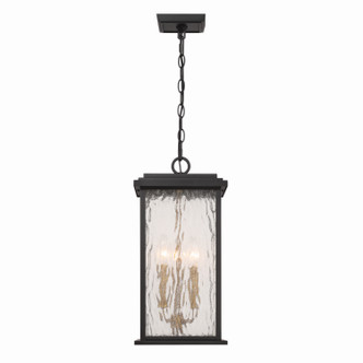Artcraft - AC9275BK - Three Light Outdoor Pendant - Estate - Black Brass