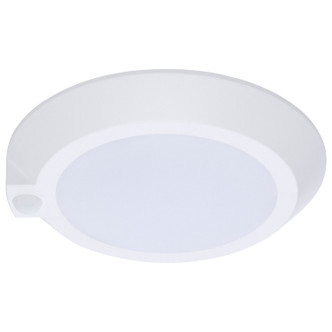 LED Disk Light (62-1821R1)
