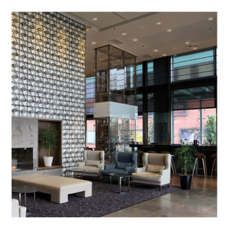 LED Remote Driver Downlight (S11670)