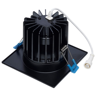 LED Remote Driver Downlight (S11674)