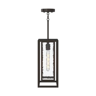 Shaw One Light Outdoor Pendant (P550148-020)