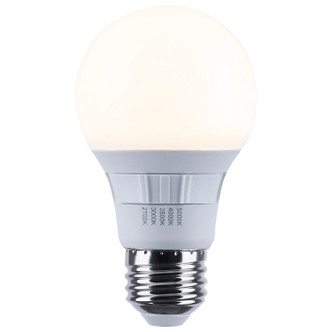 Light Bulb (S11771R1)