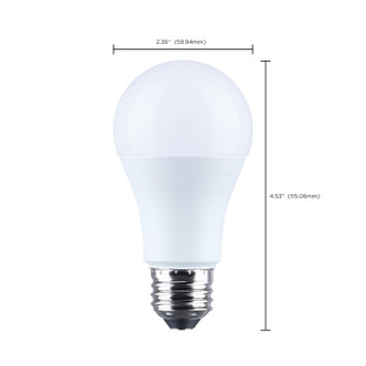 Light Bulb (S14372)