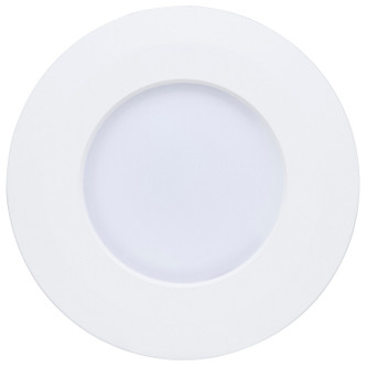 LED Downlight Retrofit (S29599)