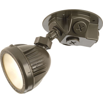 Security Light Back Plate (P6343-20)