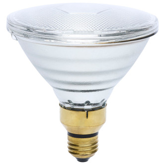 Light Bulb (S4798)