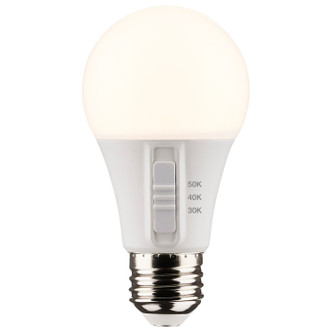 Light Bulb (S11771)