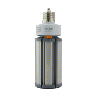 Satco - S13142 - Light Bulb - Clear