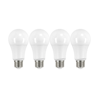Light Bulb (S29558)