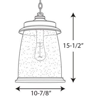 Conover One Light Hanging Lantern (P550030-020)